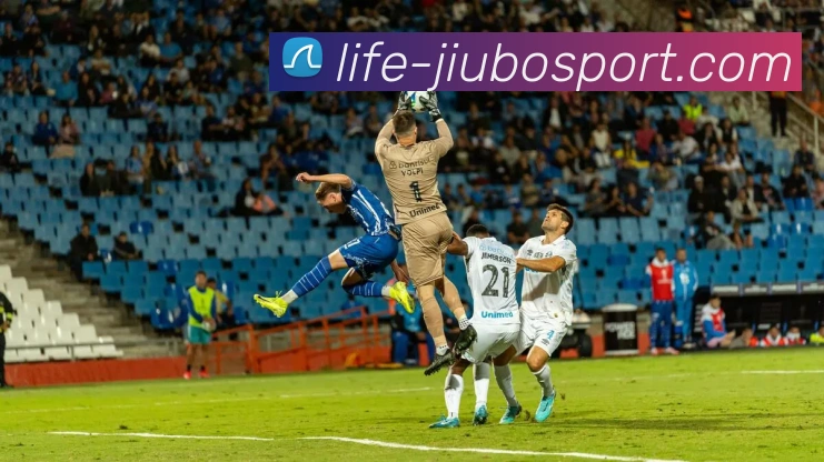 九博体育官网品牌故事